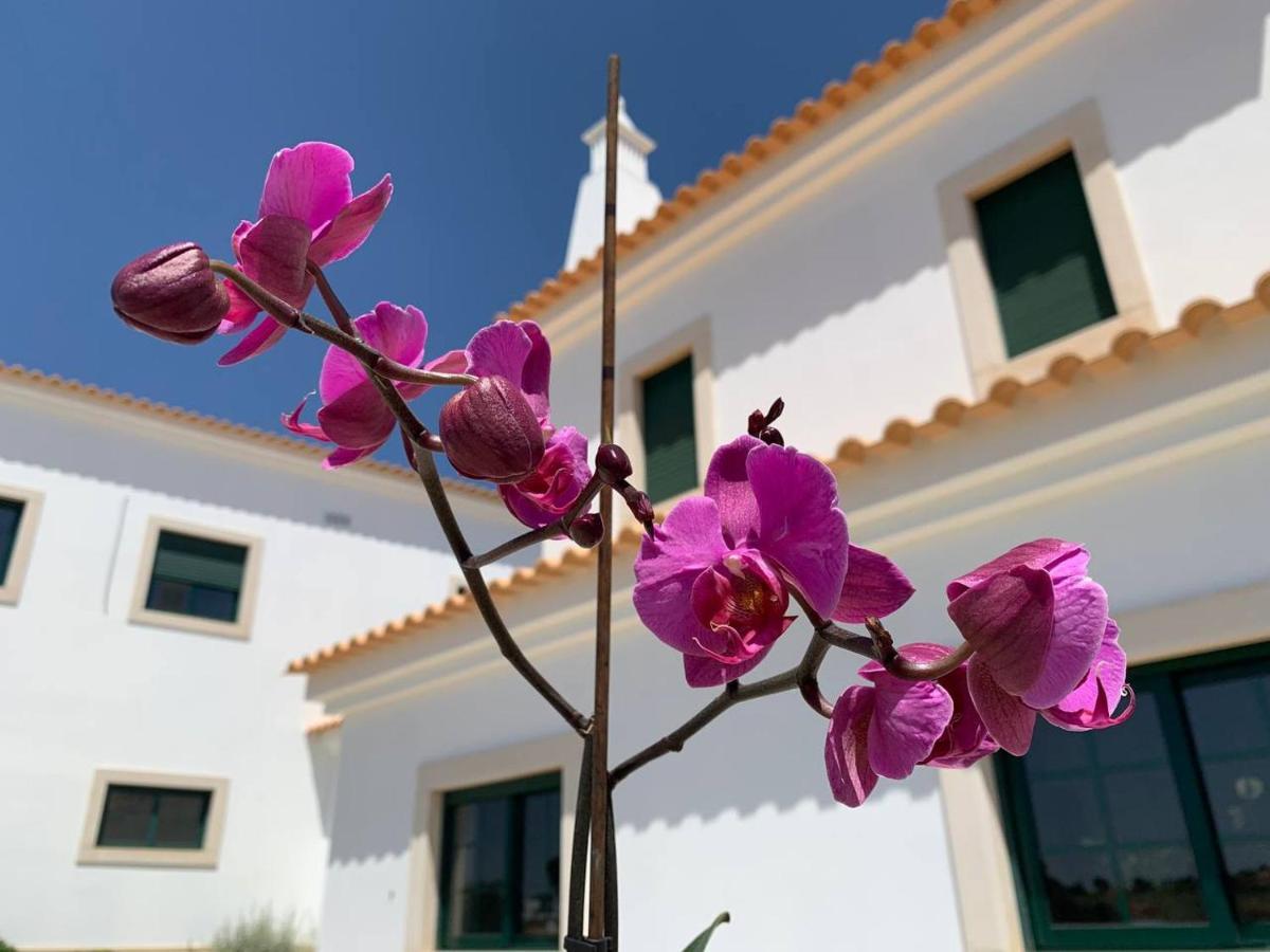 Casa Mineira Guest House 페헤이라스 외부 사진